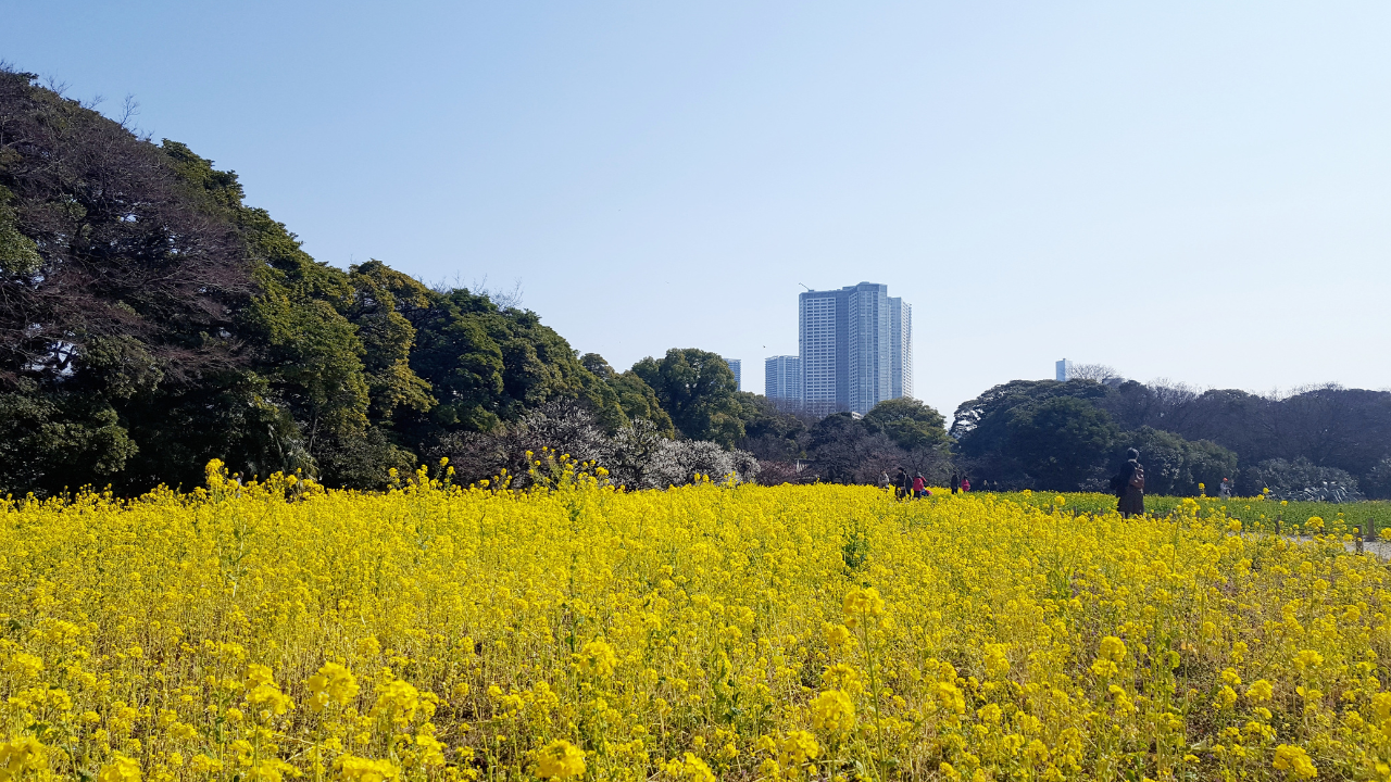 浜離宮恩賜庭園