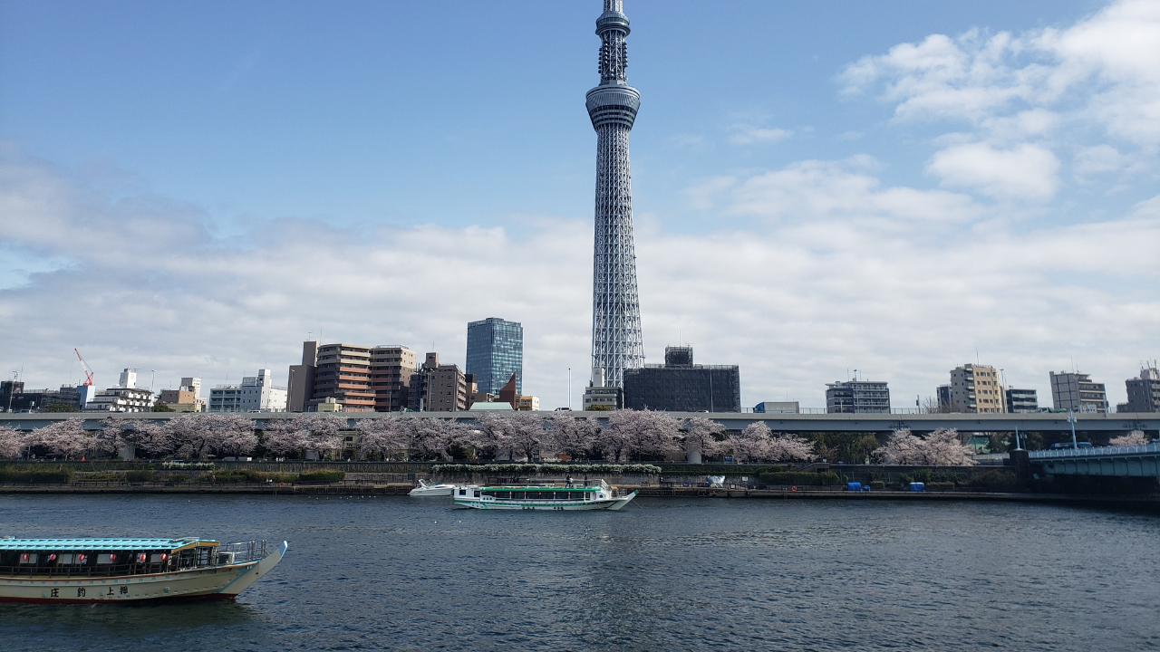 お台場水上バス