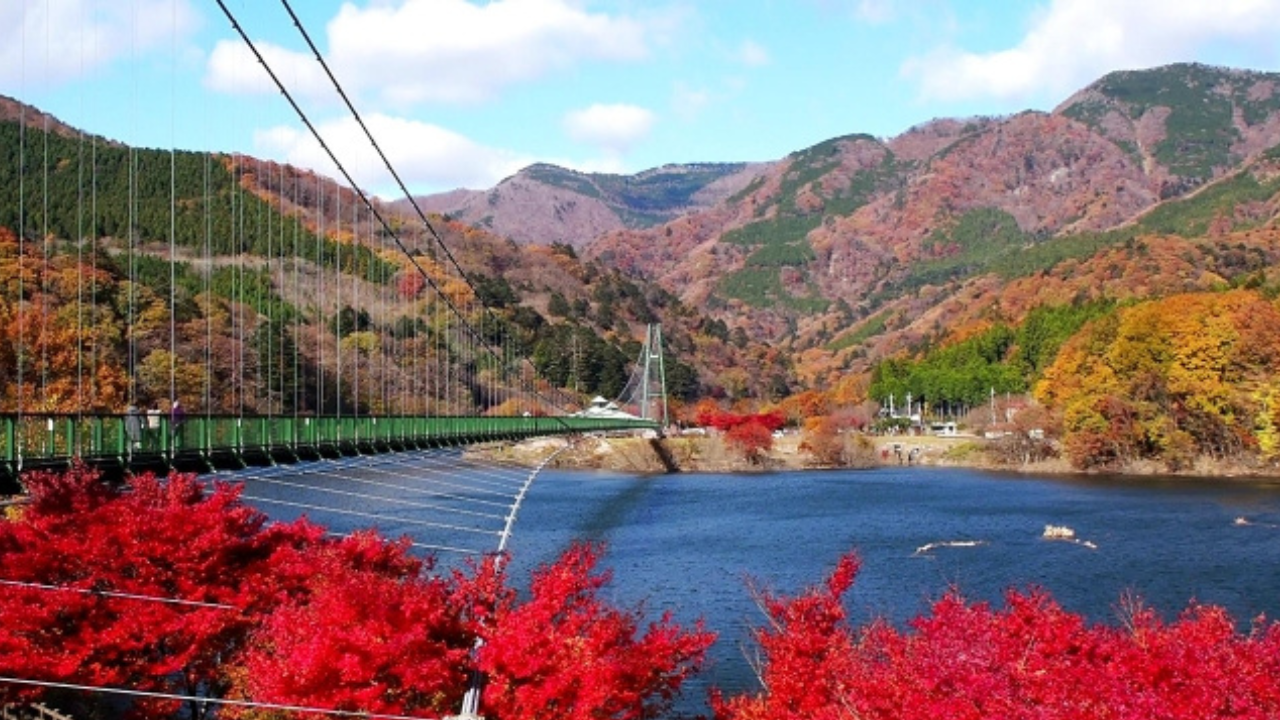 もみじ谷大吊り橋