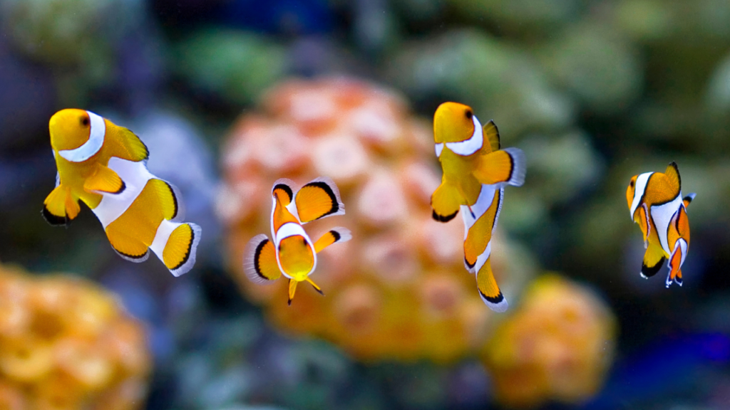 江ノ島水族館