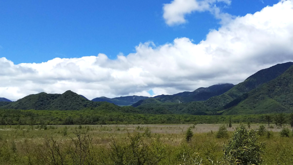 戦場ヶ原