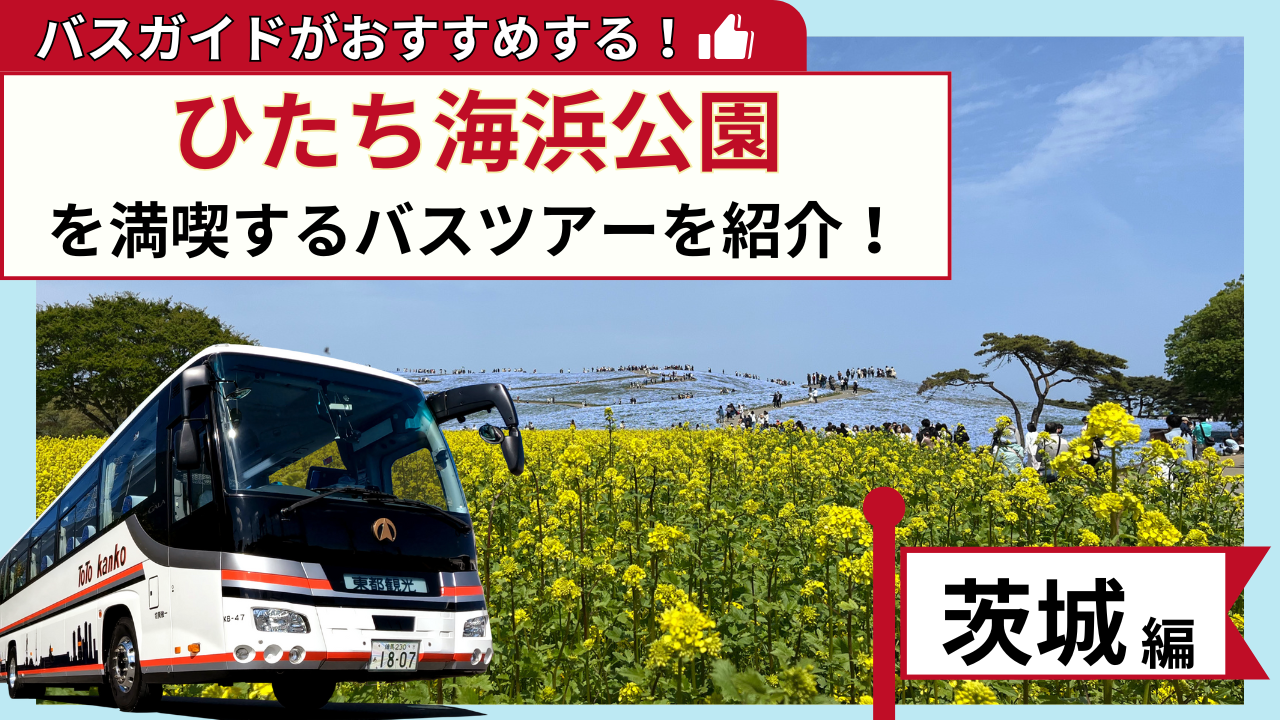 バスガイドがおすすめする！ひたち海浜公園を満喫するバスツアー