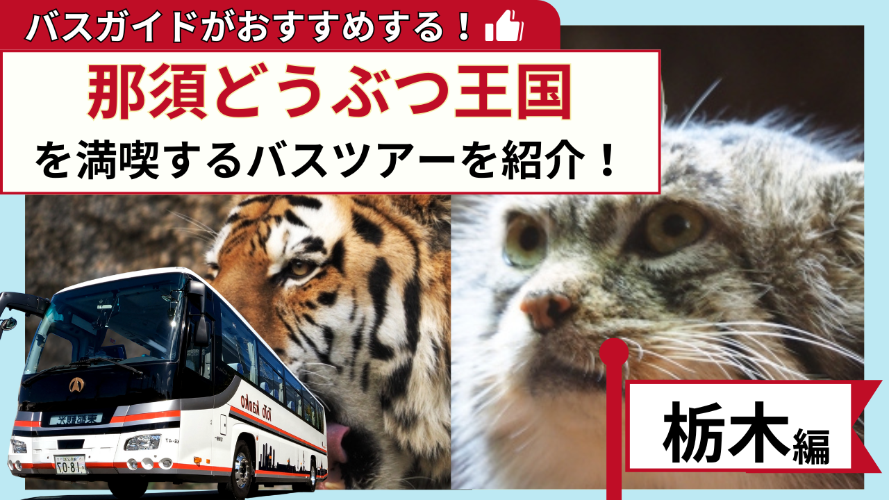 バスガイドがおすすめする！那須動物王国を満喫するバスツアー