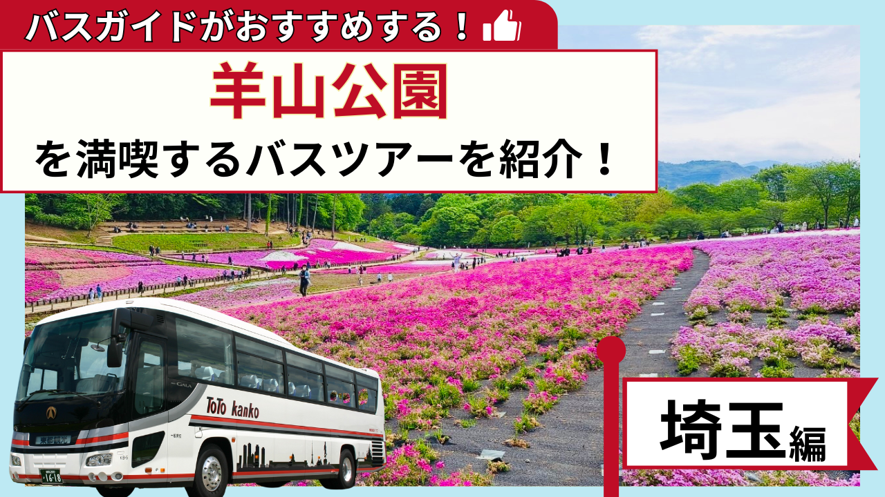 バスガイドがおすすめする！羊山公園を満喫するバスツアー